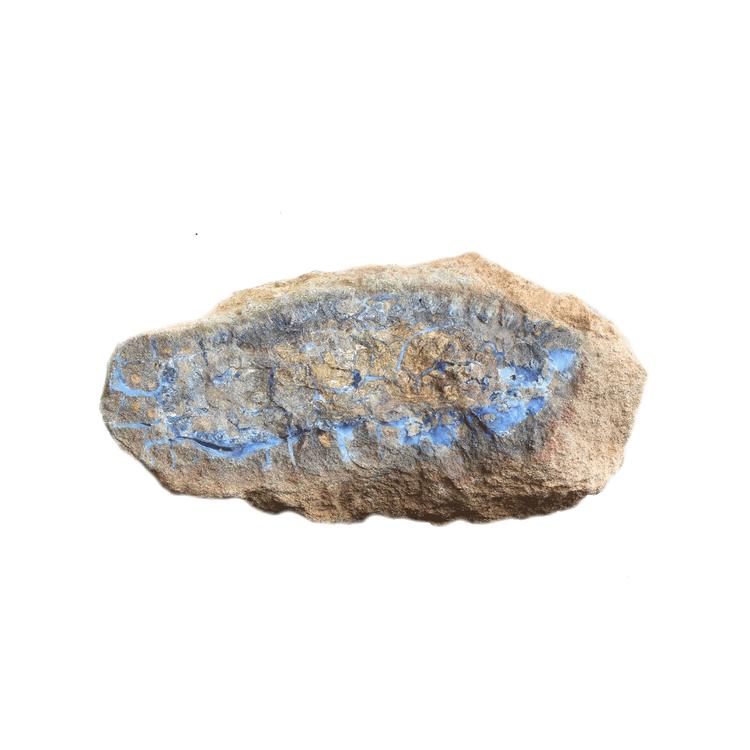 Opal - Bodh Crystals Ca