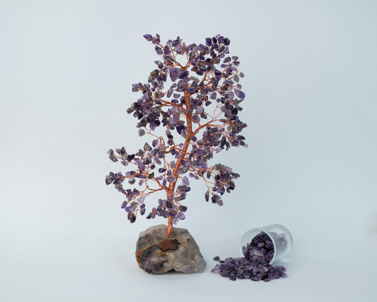 Amethyst Raw Cluster Tree 500 Beads - Bodh Crystals Ca